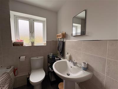 Picture 12